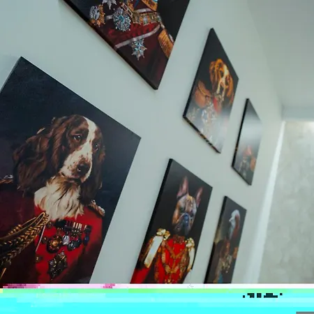 ホテル Luz De Gades - Gym - Adults Only