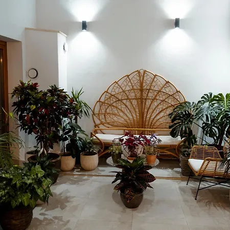 Hotel Luz De Gades - Gym - Adults Only Cadix